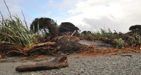 Driftwood on Hokitika Beach