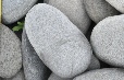 Grey Schist Flats Large