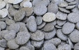 Grey Schist Flats Small