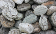 Alpine Medium
