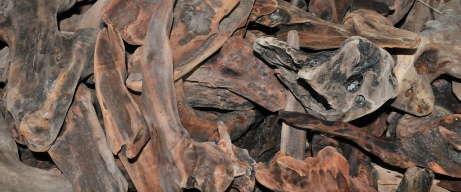 Small Drifwood