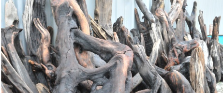 Large Driftwood