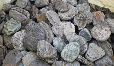 Alpine Small