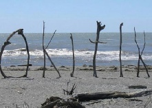 Hokitika Sign